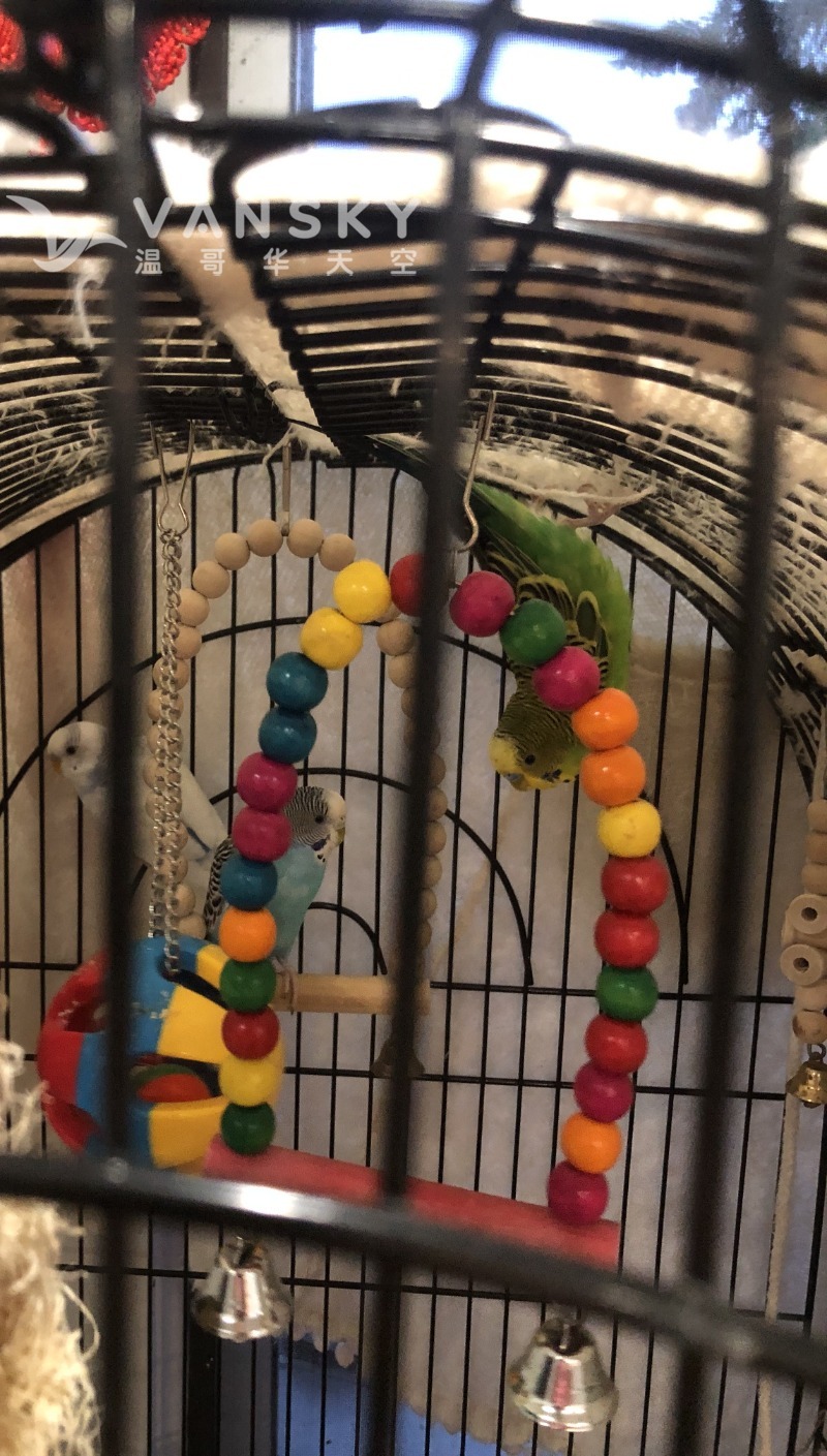 250911161745_Bird 2.jpeg